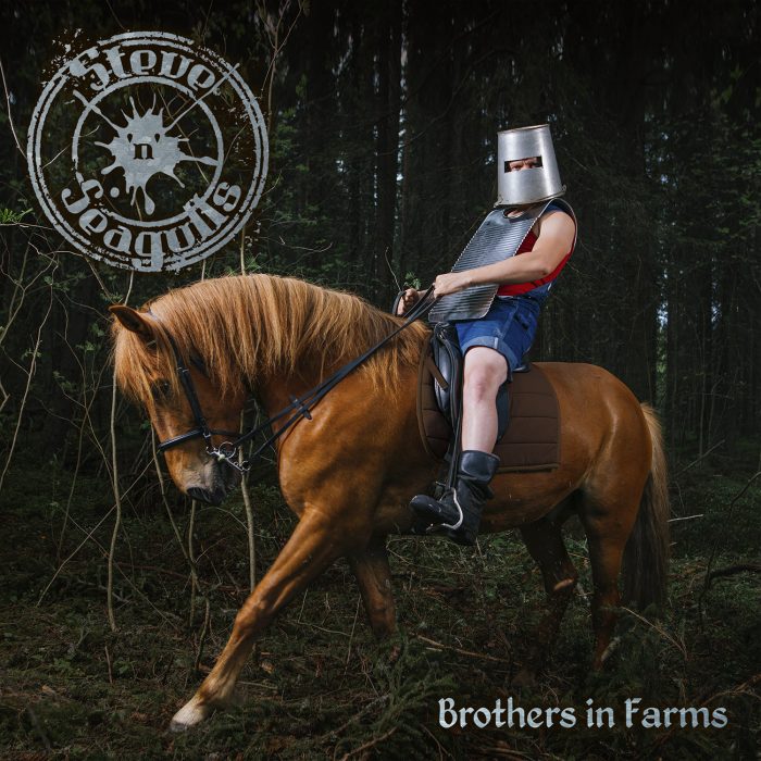 Steve_n_Seagulls-Brothers_in_Farms
